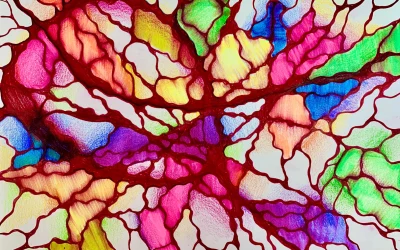 CORSO: “Utente Plus” Corso base di Neurografica